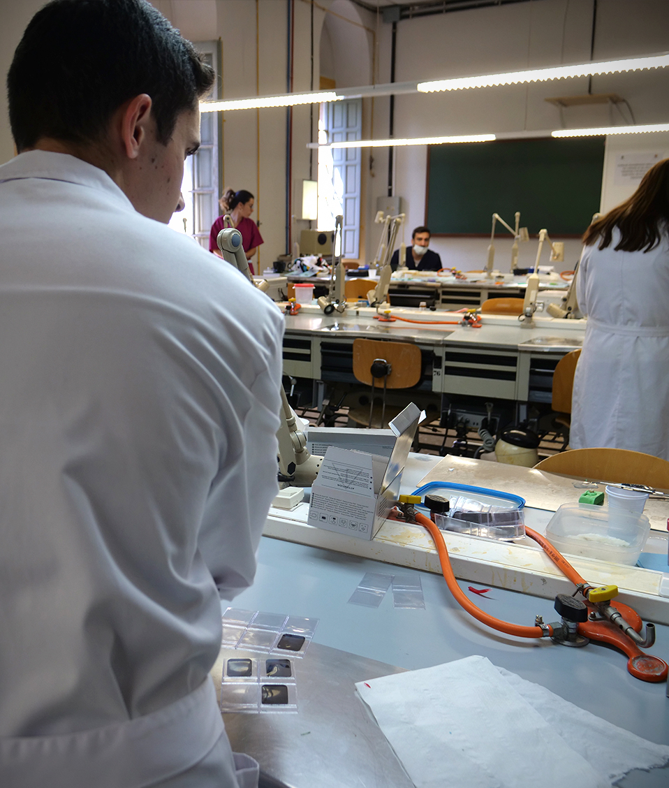 Varios estudiantes asisten a una práctica realizada en uno de los laboratorios de la Facultad de Odontología