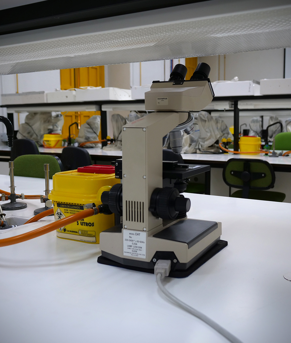 Imagen de uno de los laboratorios localizado en la Faculta de Odontología. Se disponen de varios puestos de trabajo con toma de agua y gas entre otras herramientas