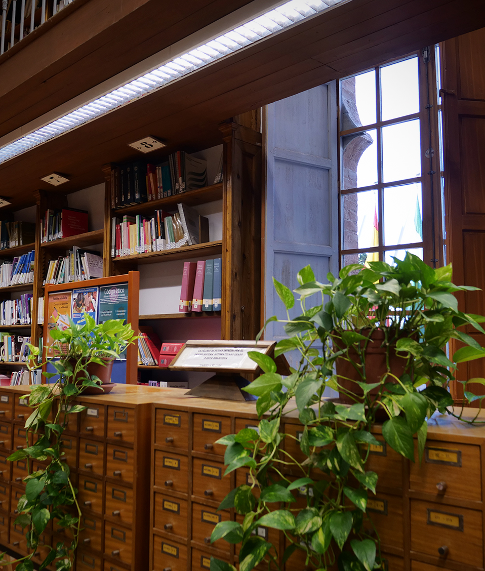 Interior de la biblioteca de la Facultad de Comunicación y Documentación donde se puede ver una ventana al fondo, estanterías con libros, una escalera y un armario con pequeños cajones