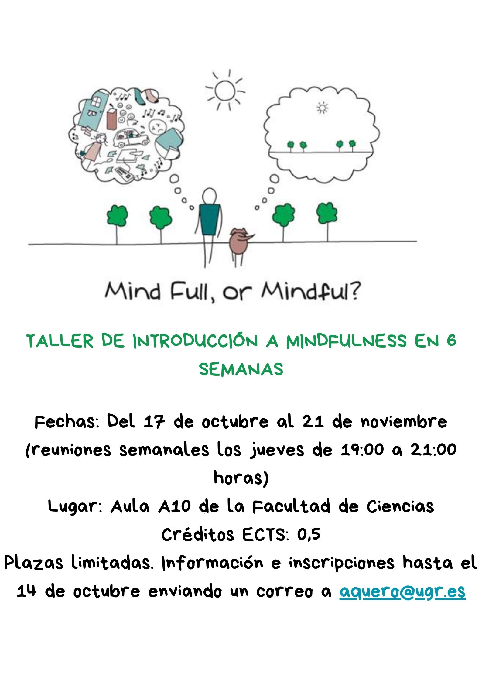 Información sobre el curso de Mindfulness